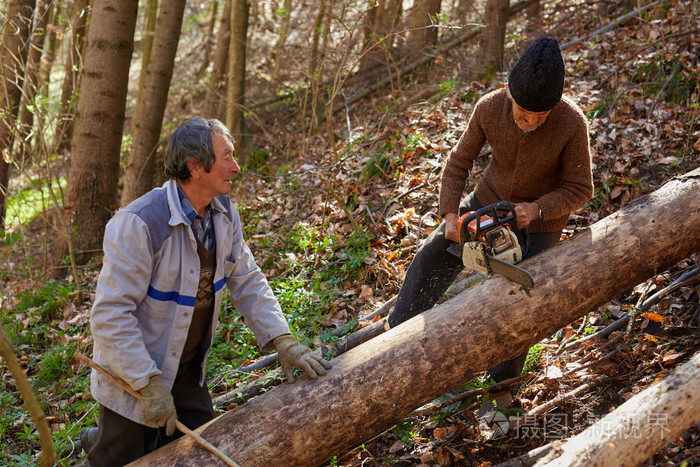 高级伐木砍伐树木
