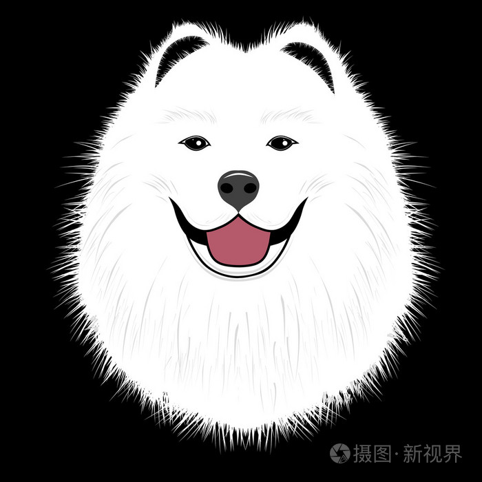 狗萨摩耶,好友小狗矢量插画-正版商用图片1itanc-摄图新视界