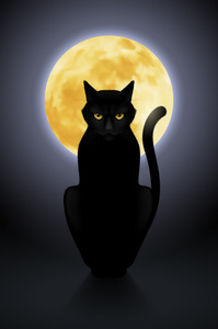 黑猫月亮背景照片