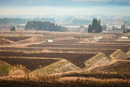 日本农场的场长，在冬天的迷雾天