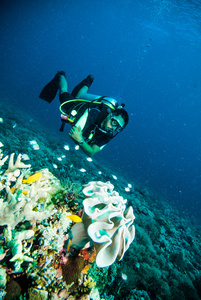 水肺潜水的潜水员 kapoposang 苏拉威西印度尼西亚水下