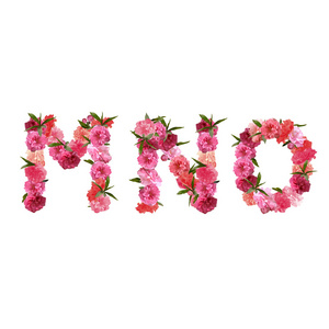 字母表的粉红色的美丽樱花