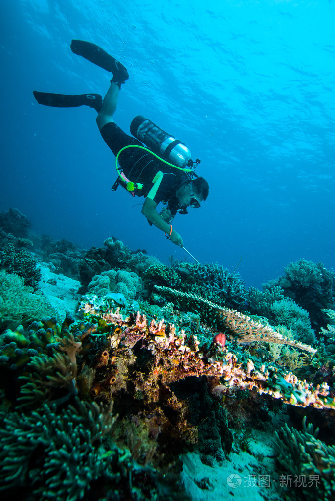 水潜水的潜水员 kapoposang 苏拉威西印度尼西亚水下