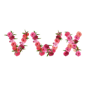 字母表的粉红色的美丽樱花