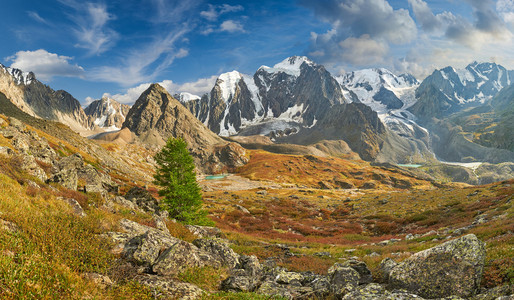 阿尔泰山