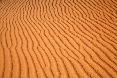 红砂附近迪拜的阿拉伯沙漠