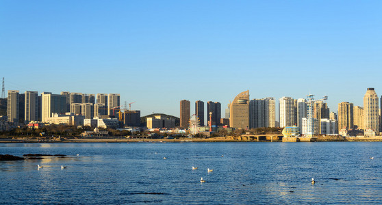 大连市全景