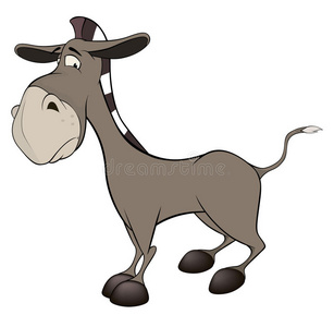 小毛驴.卡通照片