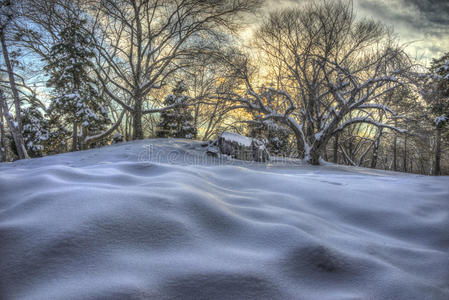 冬天的纽约中央公园