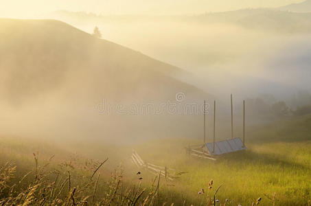 美丽的 风景 旅游业 小山 高地 牧场 山谷 旅行 草地