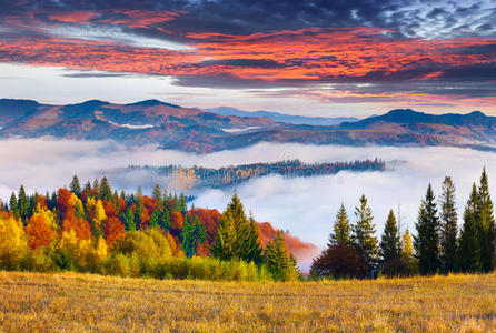 喀尔巴阡山秋日多姿多彩。