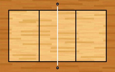 硬木排球场图鸟瞰图插画