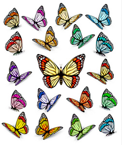 组的不同色彩鲜艳的蝴蝶。矢量
