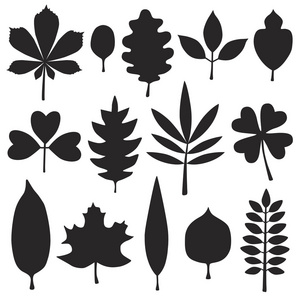 树叶影图片-树叶影素材-树叶影插画-摄图新视界