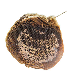 蜂巢 梳篦 单元格 蜂蜡 食品 自然 山金