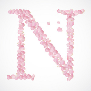 玫瑰字母 N