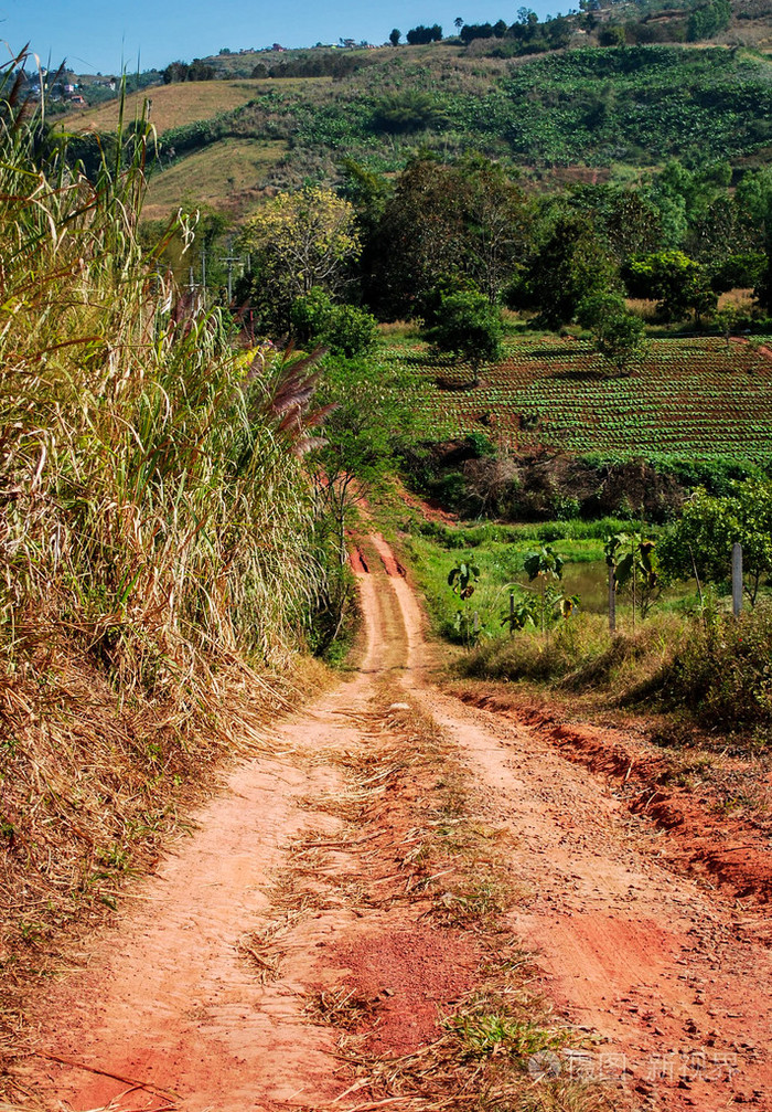 崎岖不平的道路,越野车辆的车道