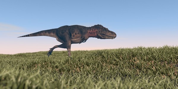 在域中运行 tarbosaurus