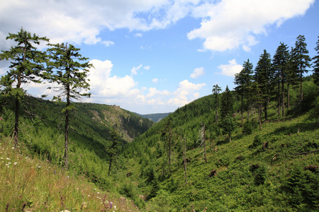 杰塞尼基山脉捷克共和国