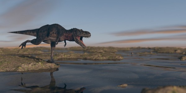 Tarbosaurus 狩猎在晚上