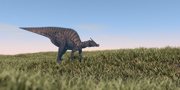 放牧在字段中的 Saurolophus dinosaurus