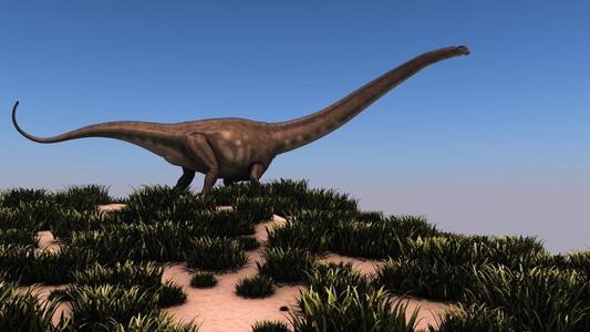 马门溪龙在自然的巨型马门溪龙照片