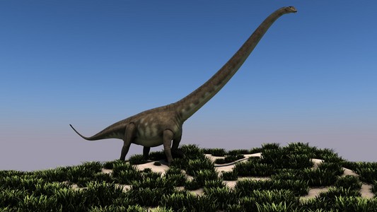 合川马门溪龙在自然的巨型马门溪龙照片