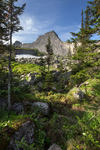 在 Ergaki 西萨彦岭山乌龟山