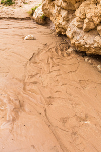 纹理的湿沙