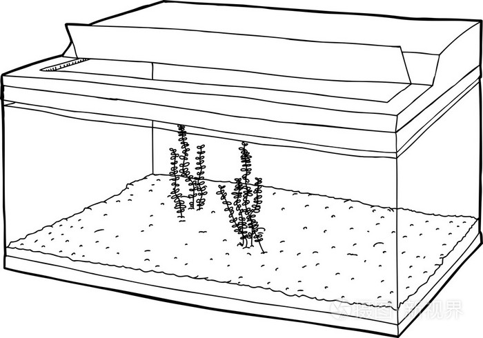 水生植物在坦克大纲插画-正版商用图片1ivlfo-摄图新视界