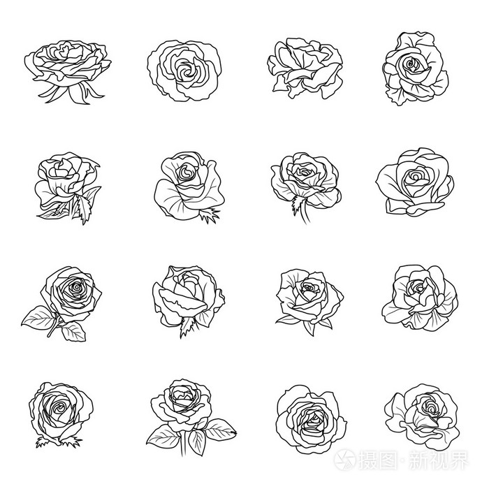玫瑰符号集