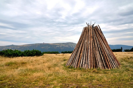 堆积的干柴图片