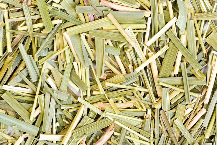香根草供医疗使用特写照片