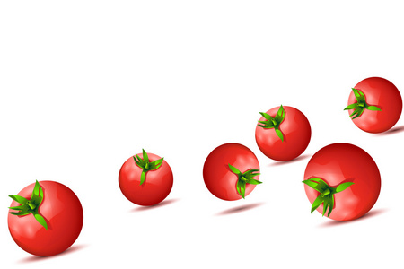西红柿 13
