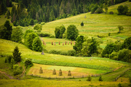 夏天风景