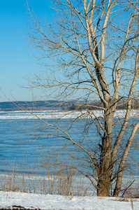 河水泛滥。 撕裂的河冰。 带着最后一块冰的河流。 早春俄罗斯鞑靼斯坦喀马河