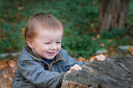 在秋天的老树桩附近的公园里的小男孩