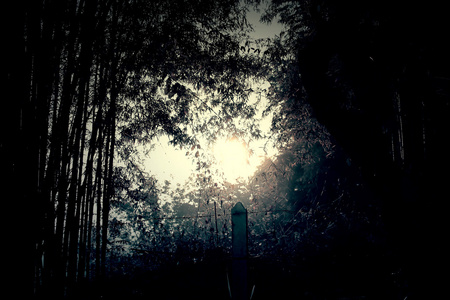 长图鬼故事图片