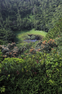 池塘在山森林图片