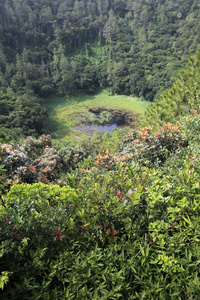 池塘在山森林