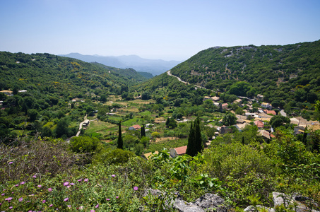 小山科孚岛，希腊橄榄果园