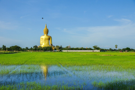 佛像后面