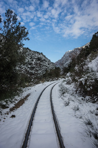 Cog 铁路 Vouraikos 峡谷