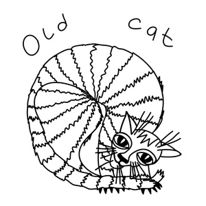 老猫照片