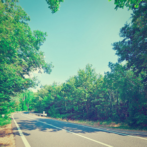 道路