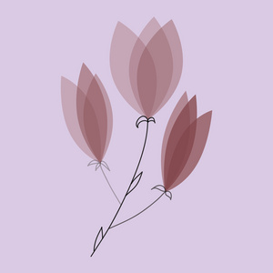盛开的紫玉兰花分公司图片