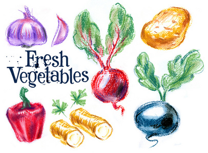 白色背景上的新鲜蔬菜。草绘插图