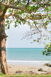 海滩海景