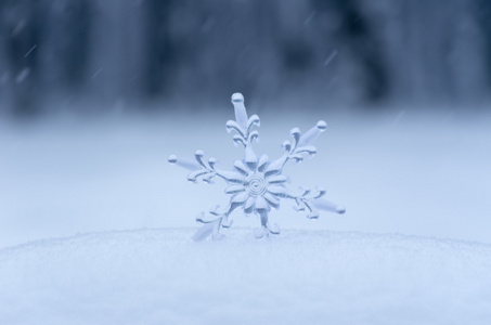 雪花在白雪中