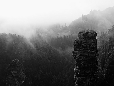 视图到深雾谷撒克逊人在瑞士。从雾背景增加砂岩峰林。黑色和白色图片
